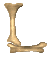 [L]